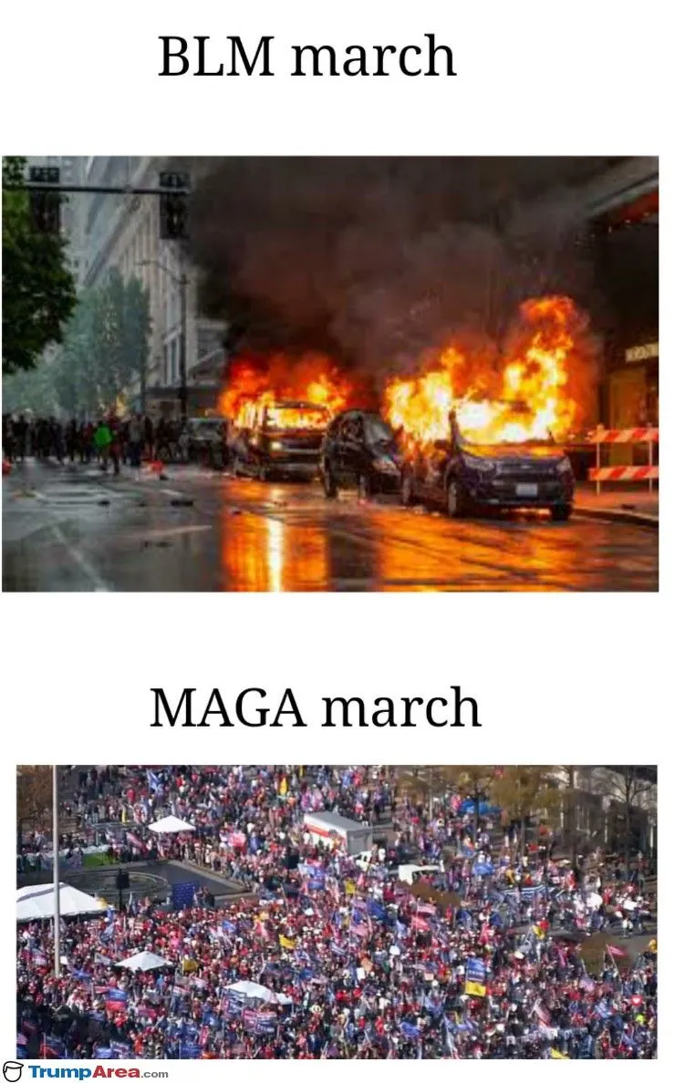 BLM-vs-MAGA.webp