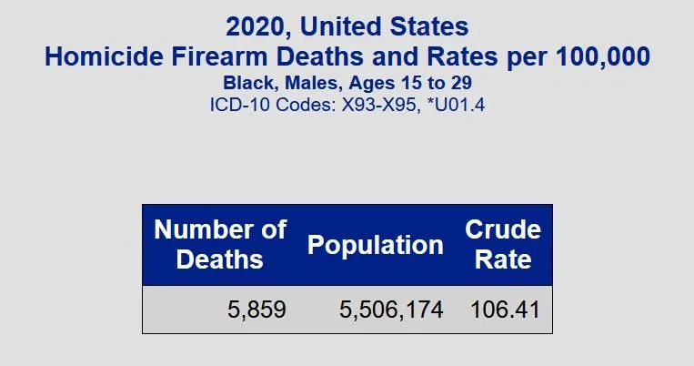 BM1529gun2020.webp