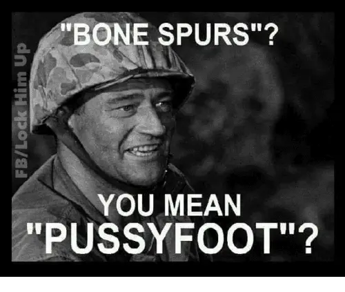 bone-spurs-0-you-mean-pussyfoot-28799756.webp
