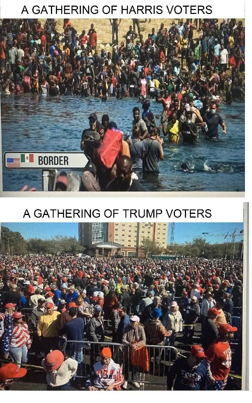 BORDER CZAR HARRIS VOTERS PAIRED.webp