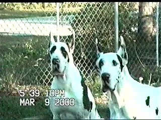 Boys_2.webp