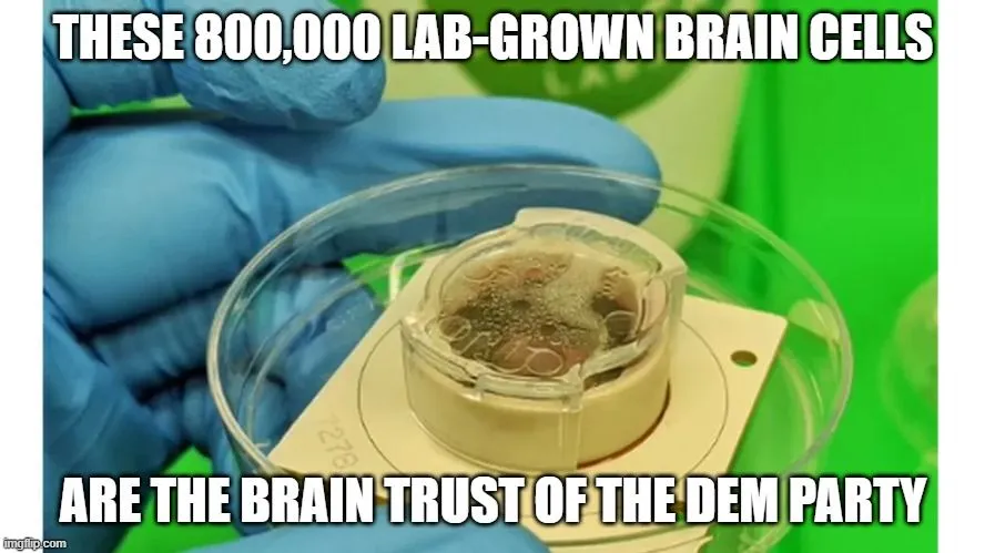 brain trust.webp