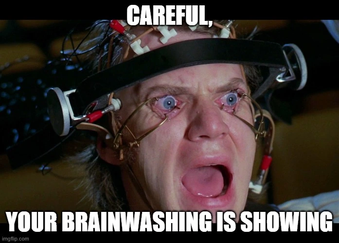 brainwashing2.webp