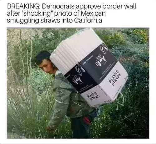 breaking-democrats-approve-border-wall-after-shocking-photo-of-mexican-smuggling-straws.webp