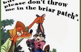 briar patch.webp