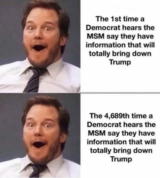 BRINGING TRUMP DOWN.webp