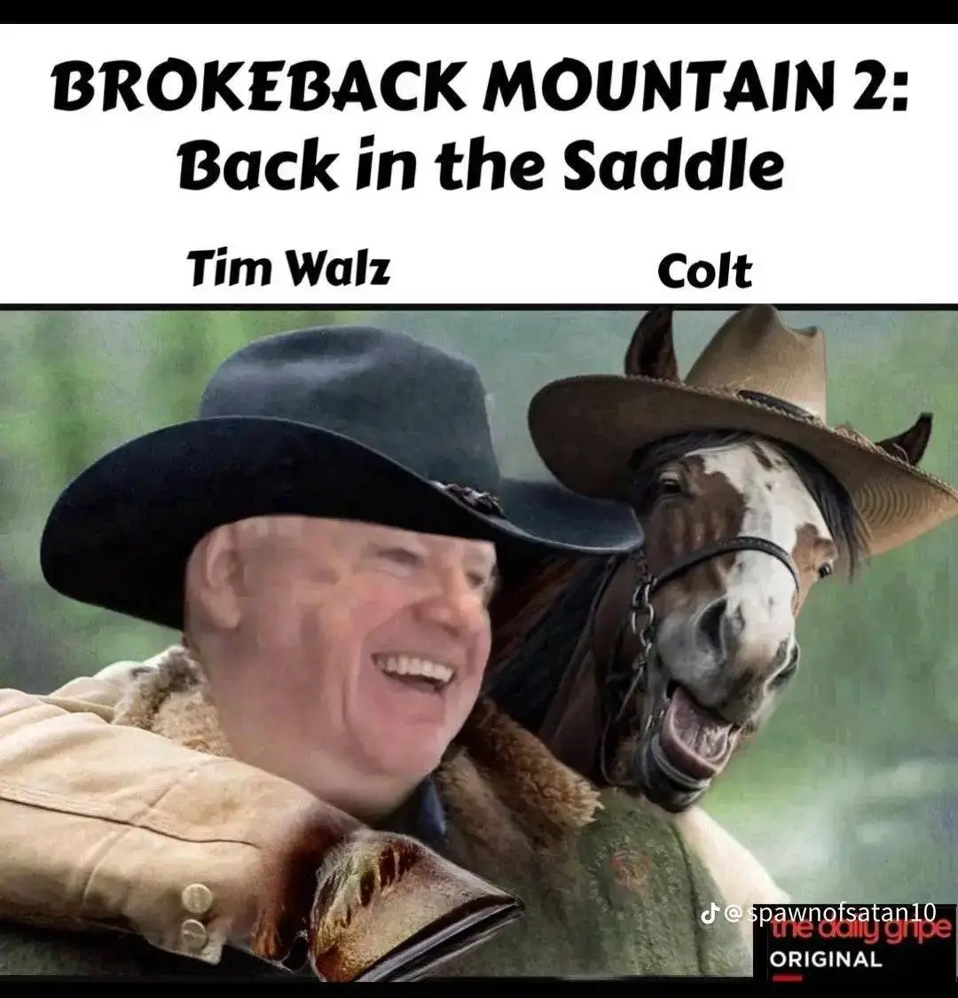 brokeback walz.webp
