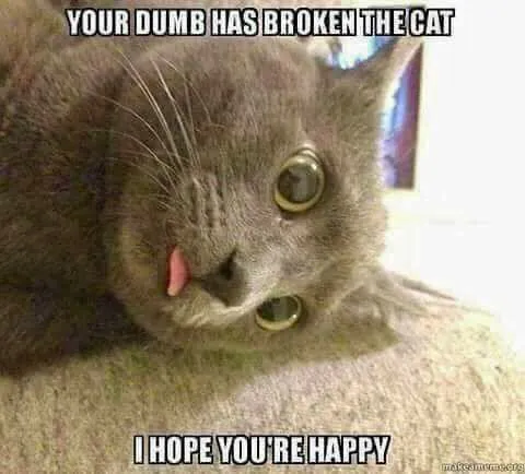 BrokeCat.webp