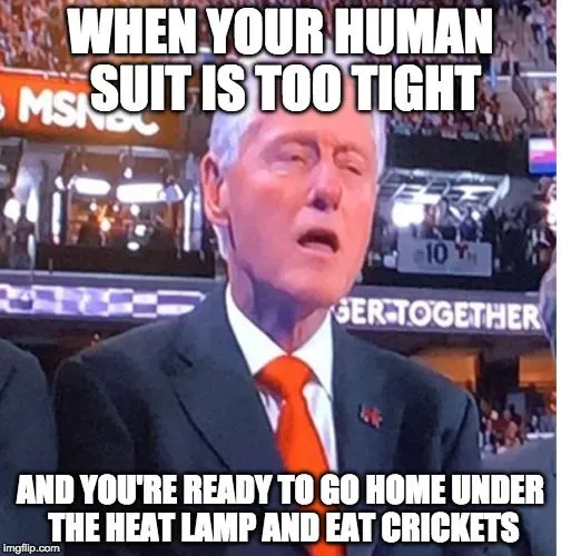 bubba clinton crickets.webp