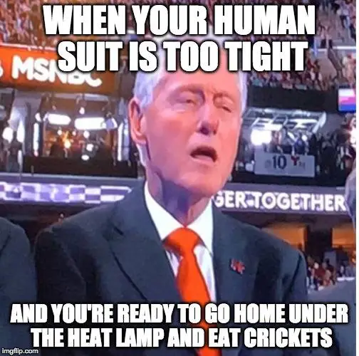 bubba clinton crickets.webp