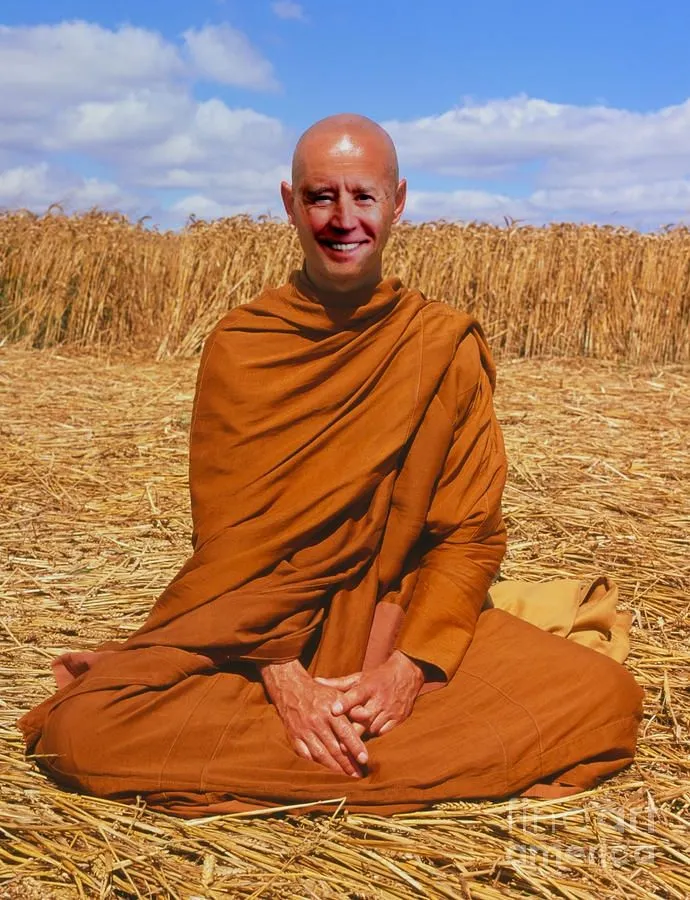 buddhist-monk-meditating-david-parker-and-spl.webp