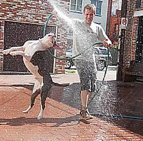 buddy_and_me_hose_dancing.webp