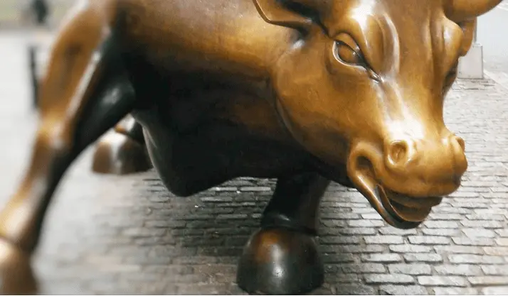 bull over the pavers.webp