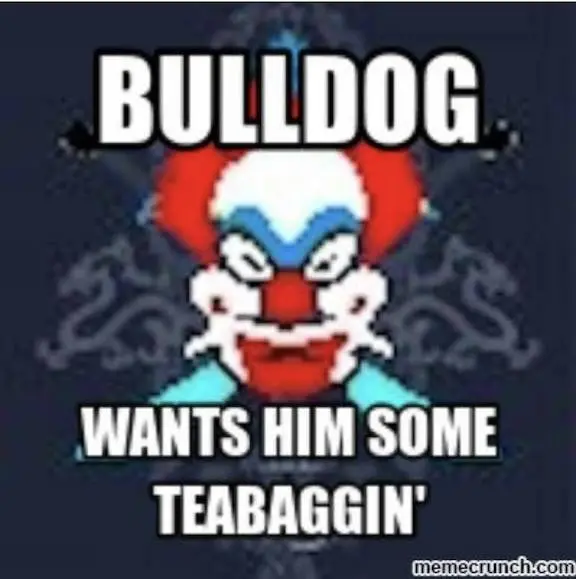 Bulldog teabaggin.webp