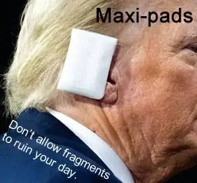 bullet or fragment text1.jpg