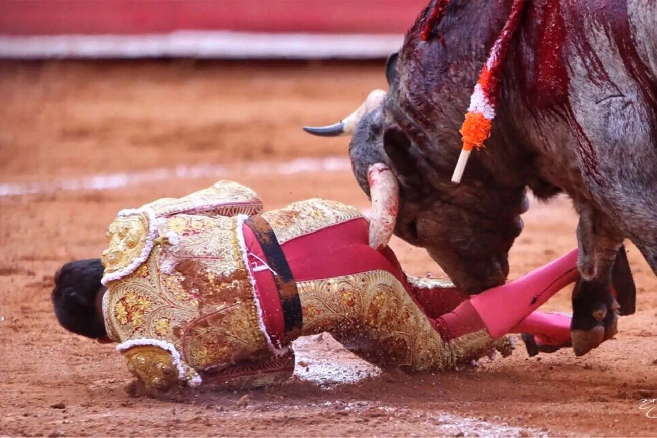 bullgoreddfjddsdksf.jpg