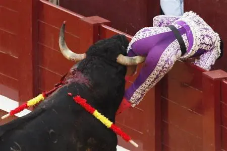 bullgoreddfsdfsf.jpg