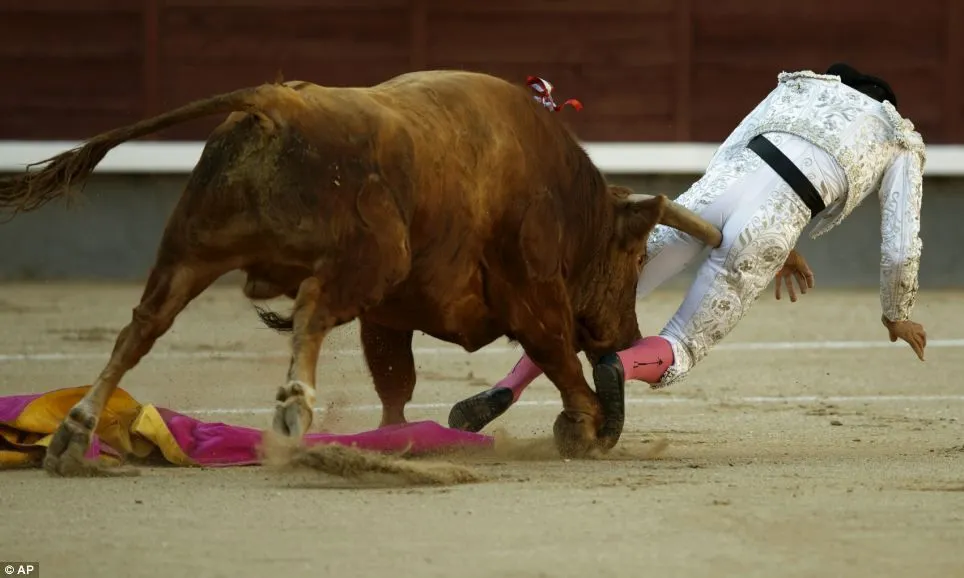 bullgoreddlfsdlfasldfalsdfj.jpg