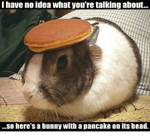 BunnyPancake.webp
