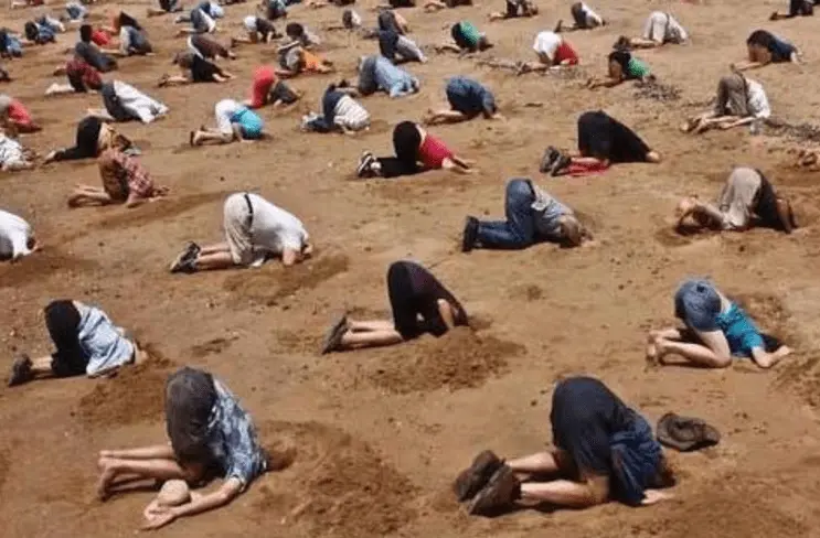 Buriedhead in sand.webp