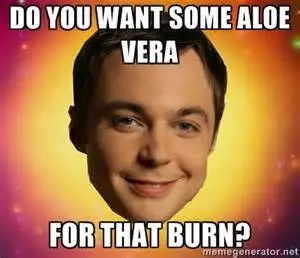 BurnAloe.webp