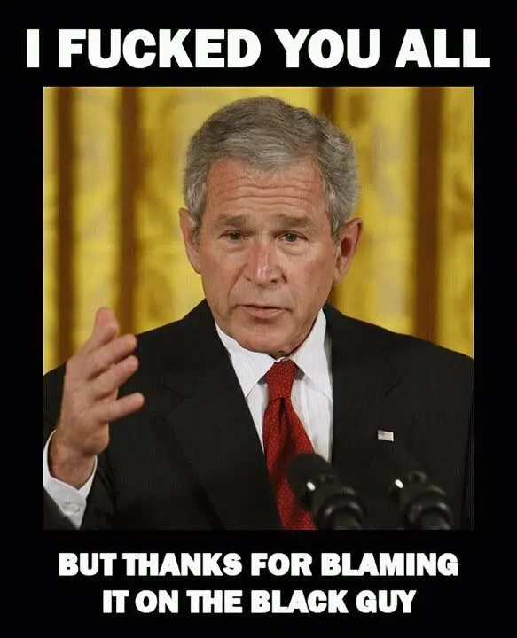 bush (1).webp