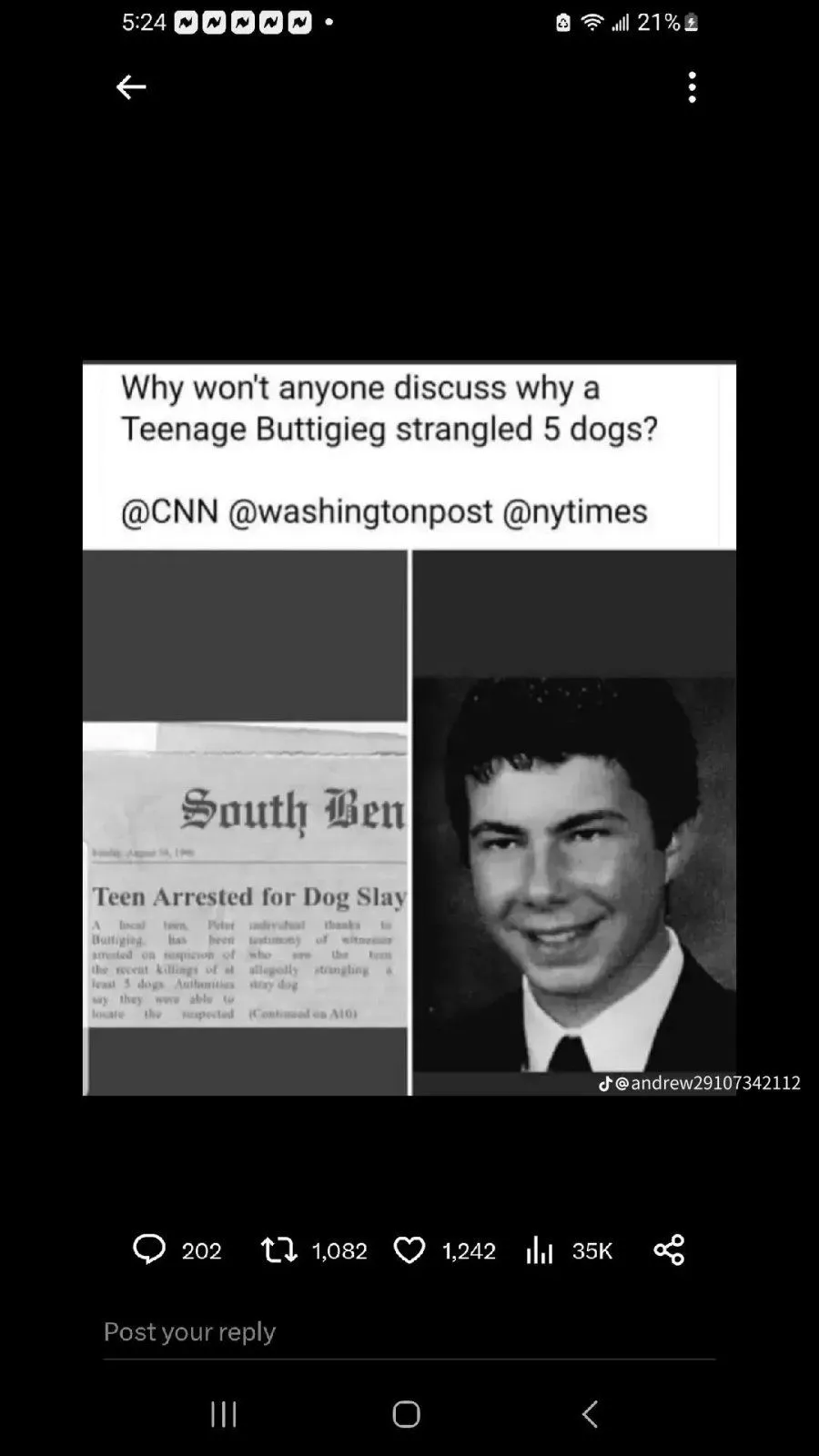 buttplug serial killer.webp