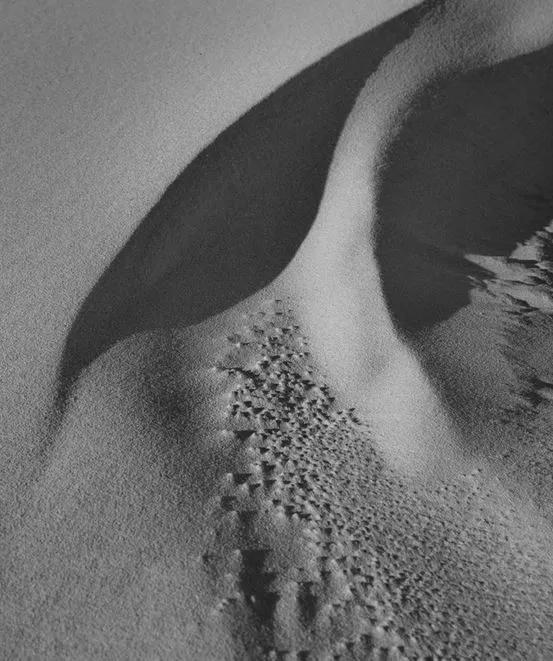 BW sand.webp