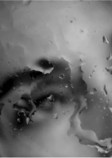 BW surreal face.webp