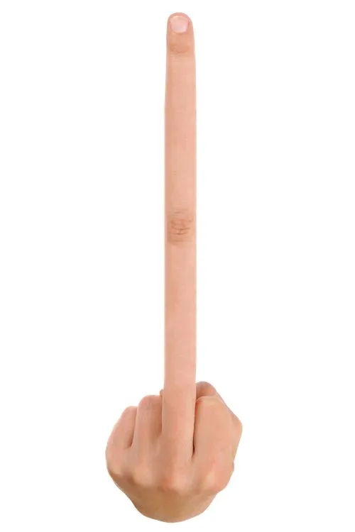 c155542fbca8ddff5529554ee2e4cb33--middle-finger-meme-funny-facebook[1].webp