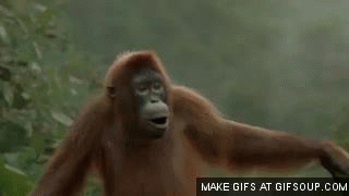 C377F9C1-C565-48A8-A783-DE175659D978.gif