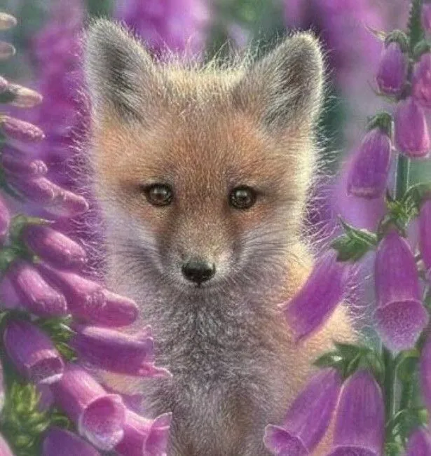 C6fEuETWMAAgQn- (2).webp