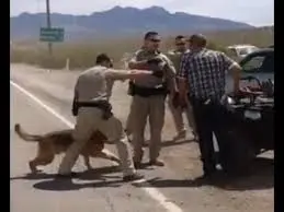 C__Data_Users_DefApps_AppData_INTERNETEXPLORER_Temp_Saved Images_images(2).webp