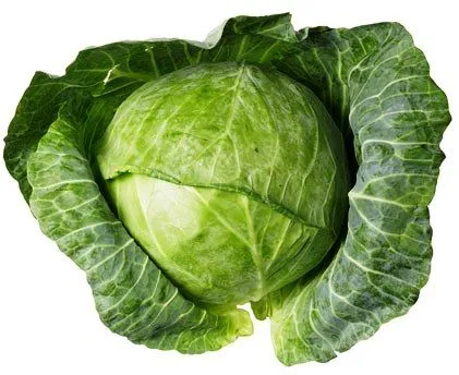 cabbage-head.webp