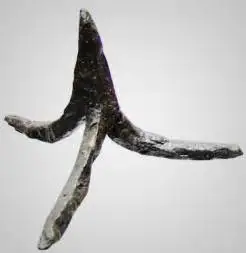 caltrop.webp