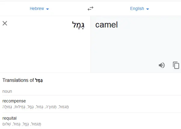Camel.webp
