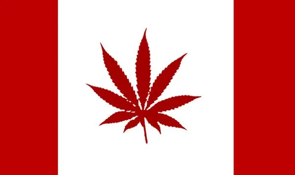 canada-legalise-marijuana-g7-cannabis-legal_blog_full.webp