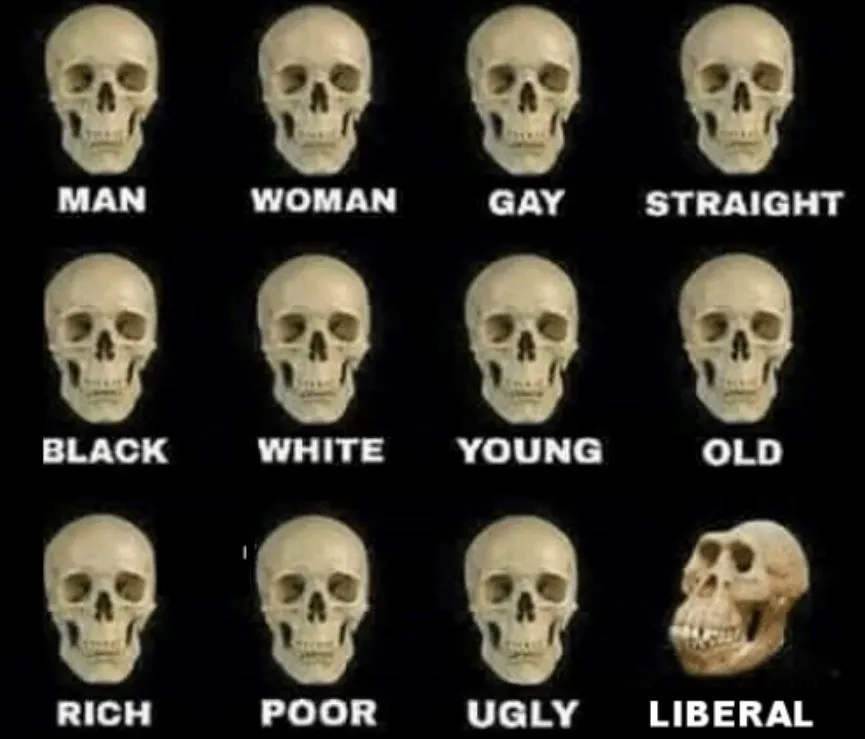 Captureliberal retards.webp