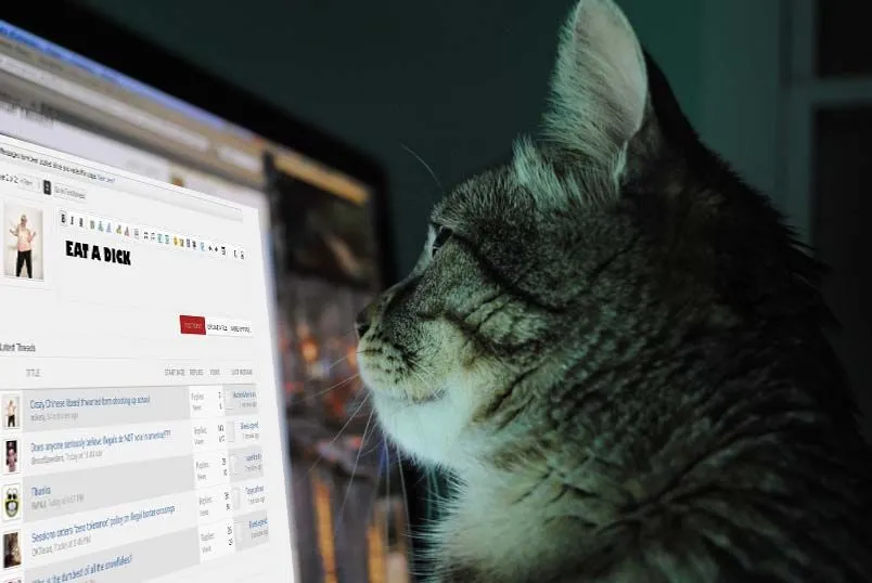 cat-and-computer1.webp