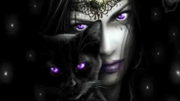 cat and witch.webp