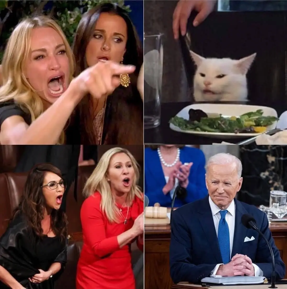 cat biden.webp