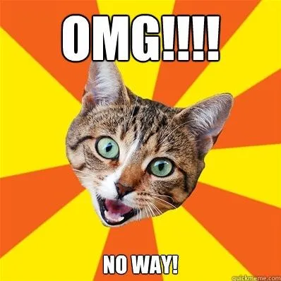 Cat OMG No Way.webp