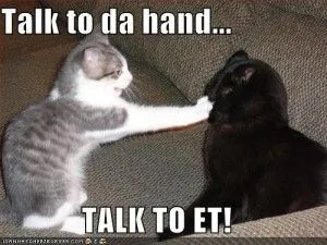 cat-talk-to-the-hand-300x225.webp