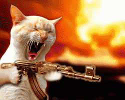 cat-with.gif