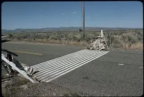 cattle guard.webp