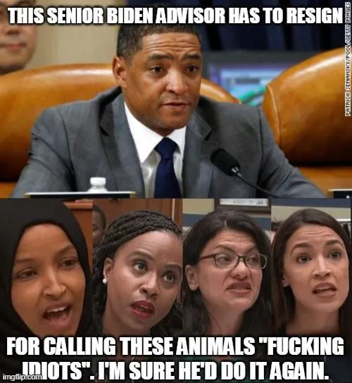 cedric richmond.webp