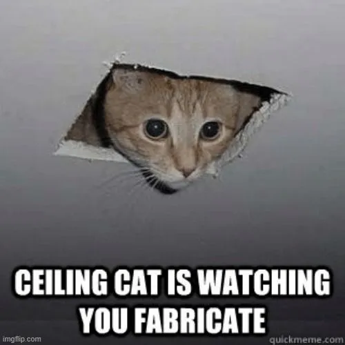 ceiling cat.webp