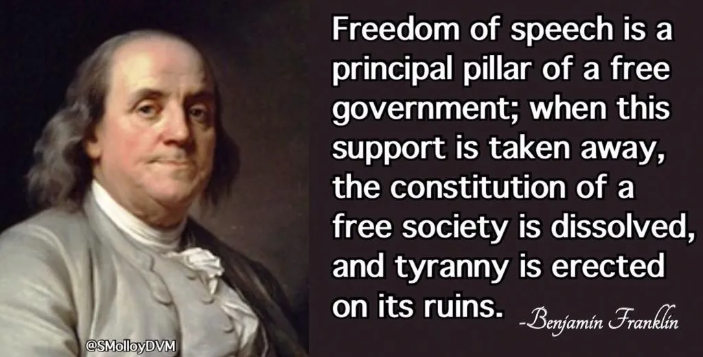 censorshipbenjaminfranklinhdhdhjdjhdjgd.webp
