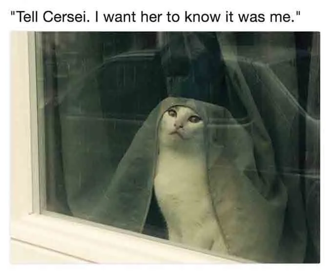 cersei.webp