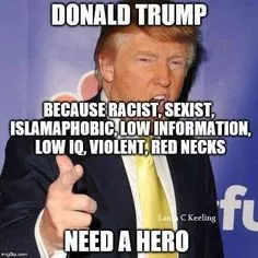 cffc2f2d87a59f91c117302f7ccbcded--donald-duck--election.webp